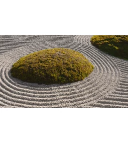 Zen kert kialakítása és elemei – a japánkert jellemzői 